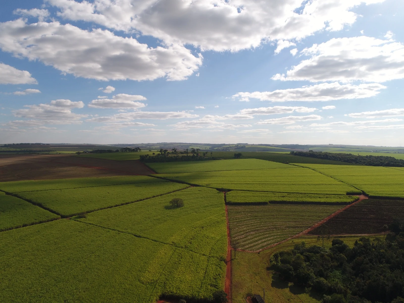 Talhão agrícola visto do alto, por drone
